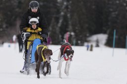 Lenzerheide 2013